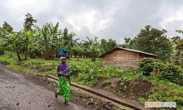 2021世界上最贫穷的十个国家