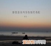 你的身影你的歌声是什么歌，你的脚步在天涯我追随到你身旁什么歌