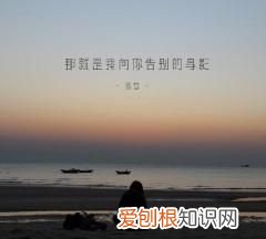 你的身影你的歌声是什么歌，你的脚步在天涯我追随到你身旁什么歌