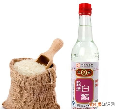 白醋是什么,18度白醋是什么