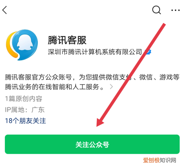 王者荣耀怎么才能查充值记录，王者荣耀在哪里查看点卷消费记录