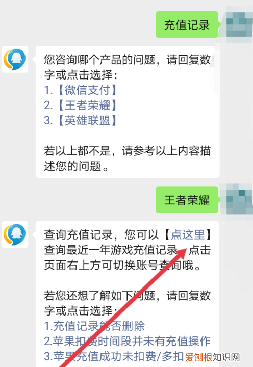 王者荣耀怎么才能查充值记录，王者荣耀在哪里查看点卷消费记录