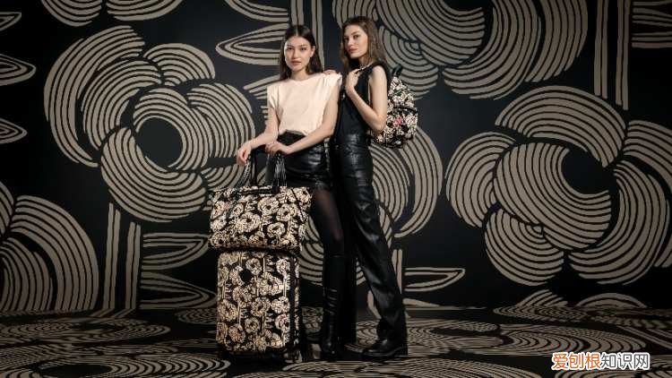 Kipling与Anna Sui再度携手,全新系列带你乐享轻行逐梦