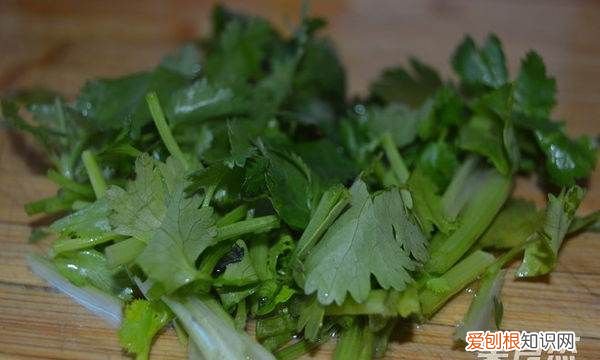 框镜鱼怎么做好吃,框镜鱼怎样做好吃