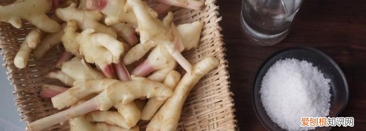 仔姜怎么存放时间长,仔姜下地窖储存方法