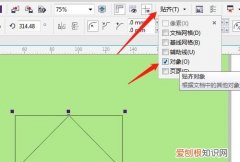 cdr要咋滴才可以画图
