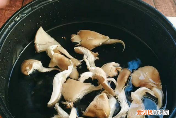 蘑菇炒之前需要开水焯，蘑菇在炒之前需不需要用水焯一下?