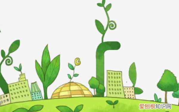 海螺人是什么，爆炒海螺丝用的是小海螺吗