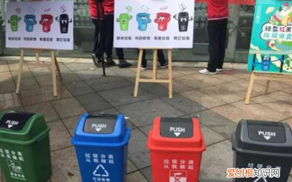 海螺人是什么，爆炒海螺丝用的是小海螺吗