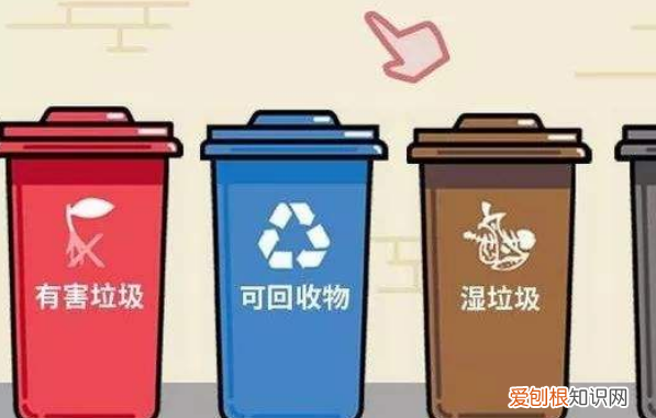 海螺人是什么，爆炒海螺丝用的是小海螺吗