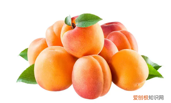 应该如何储存鲜杏,杏子怎么保存时间长