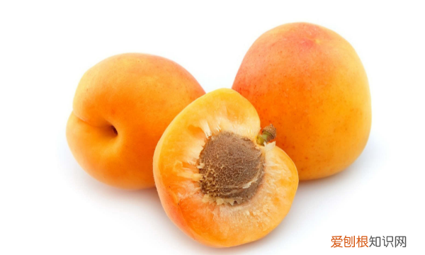 应该如何储存鲜杏,杏子怎么保存时间长