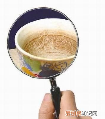 7大妙招教你喝茶后轻松洗茶垢,喝茶后立刻清洗能避免茶垢吗