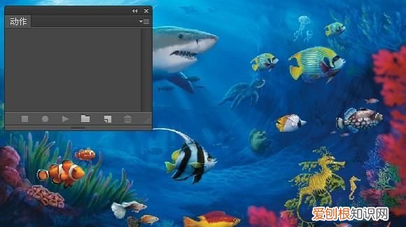 PS怎么才能批量处理,ps软件如何批量处理照片大小