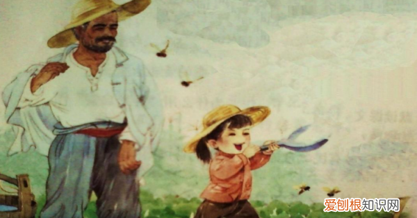 祖父的园子有什么特点，祖父的园子有什么特别之处