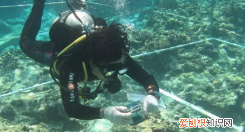 明祖陵是谁的墓，中国唯一水下皇陵被发现的是