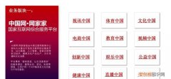 中国网家家是什么