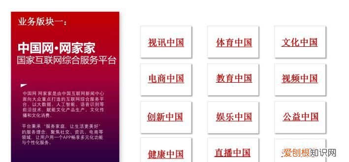 中国网家家是什么