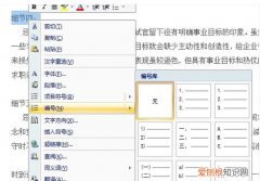word文档如何进行多级编号