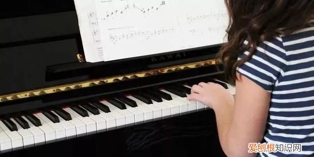 施坦威钢琴十大排名 钢琴品牌施坦威价格