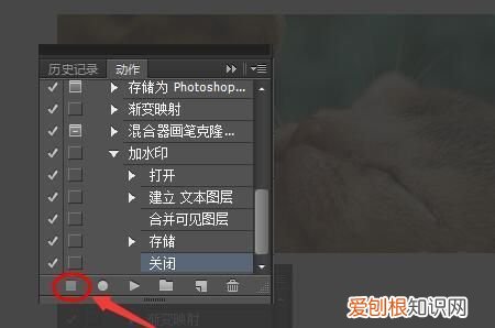 ps要怎样才可以加水印,怎样在PS中批量的加标志水印