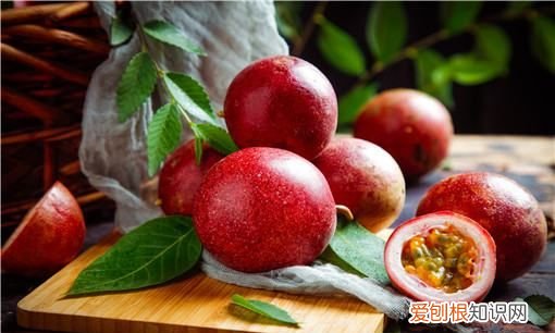 百香果如何播种,怎样种植百香果的正确方法和时间