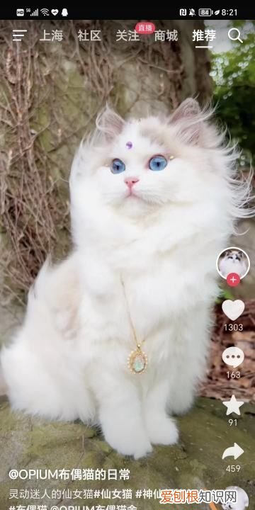 抖音如何取消喜欢的作品，应该怎么删除抖音里喜欢的作品