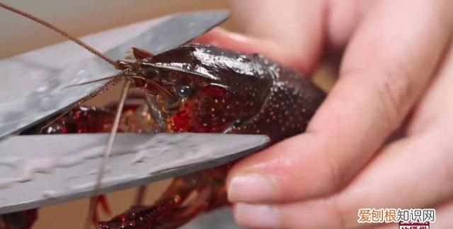 虾黄怎么做才好吃,2斤龙虾怎么做才好吃