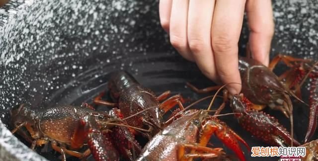 虾黄怎么做才好吃,2斤龙虾怎么做才好吃