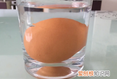 鸡蛋怎样浮起来做实验，科学小实验--鸡蛋怎么浮起来