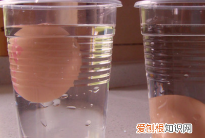 鸡蛋怎样浮起来做实验，科学小实验--鸡蛋怎么浮起来