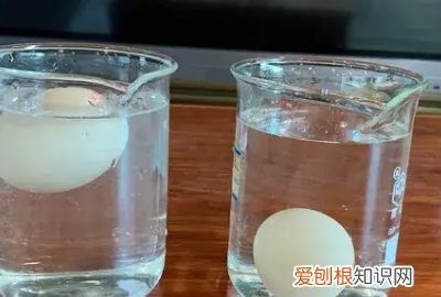 鸡蛋怎样浮起来做实验，科学小实验--鸡蛋怎么浮起来
