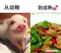 麻辣鸡胗的做法，爆炒香辣鸡脚筋的做法