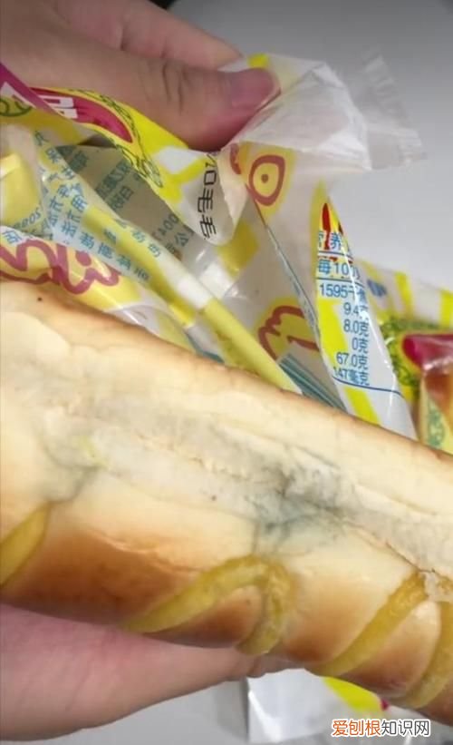 面包保质期过了一天能吃吗