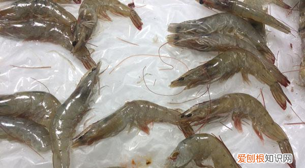 虾头有黄色的能吃吗