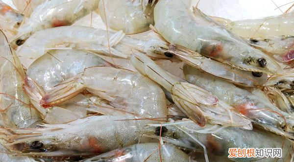 虾头有黄色的能吃吗
