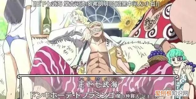 航海王香克斯和团队出现的集数 航海王剧集篇章