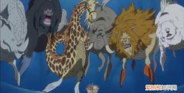 航海王香克斯和团队出现的集数 航海王剧集篇章