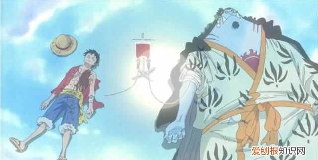 航海王香克斯和团队出现的集数 航海王剧集篇章