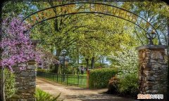 美国哈町大学是几流，哈佛大学是文科还是理科