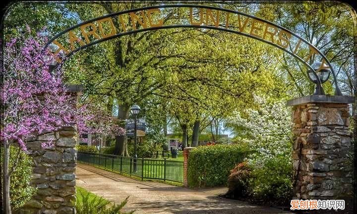 美国哈町大学是几流，哈佛大学是文科还是理科