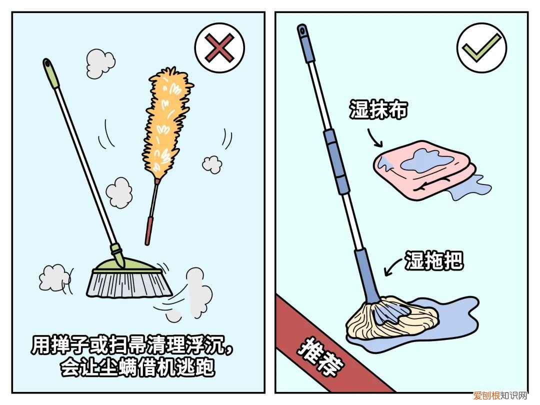 进来看!螨虫是怎么一步步爬到你床上的