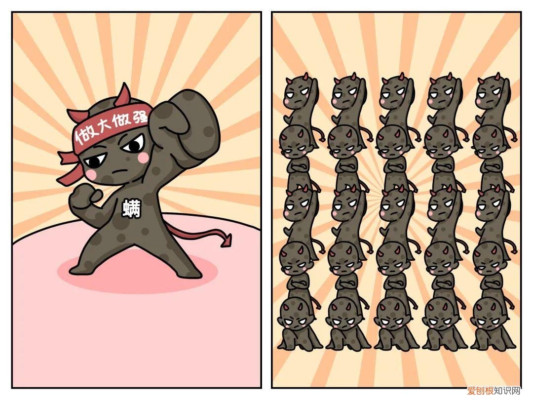 进来看!螨虫是怎么一步步爬到你床上的