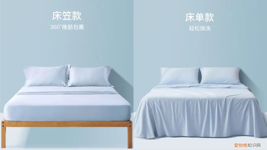 进来看！螨虫是怎么一步步爬到你床上的