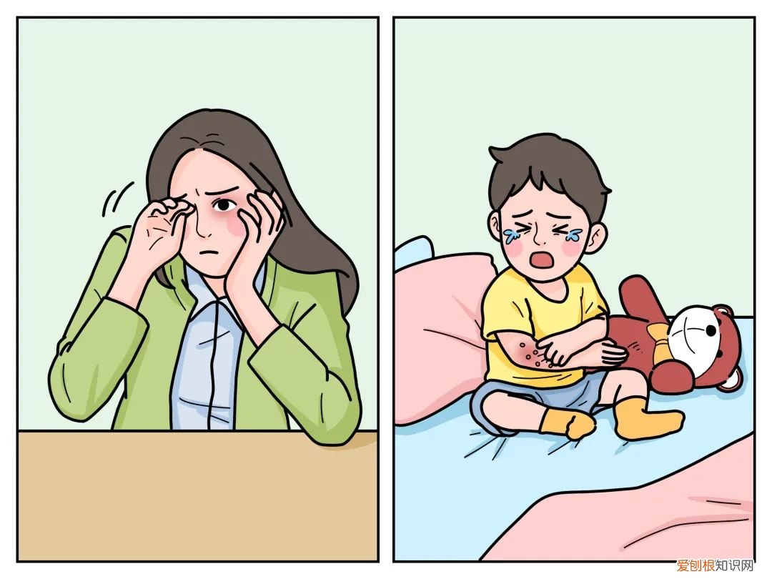 进来看!螨虫是怎么一步步爬到你床上的