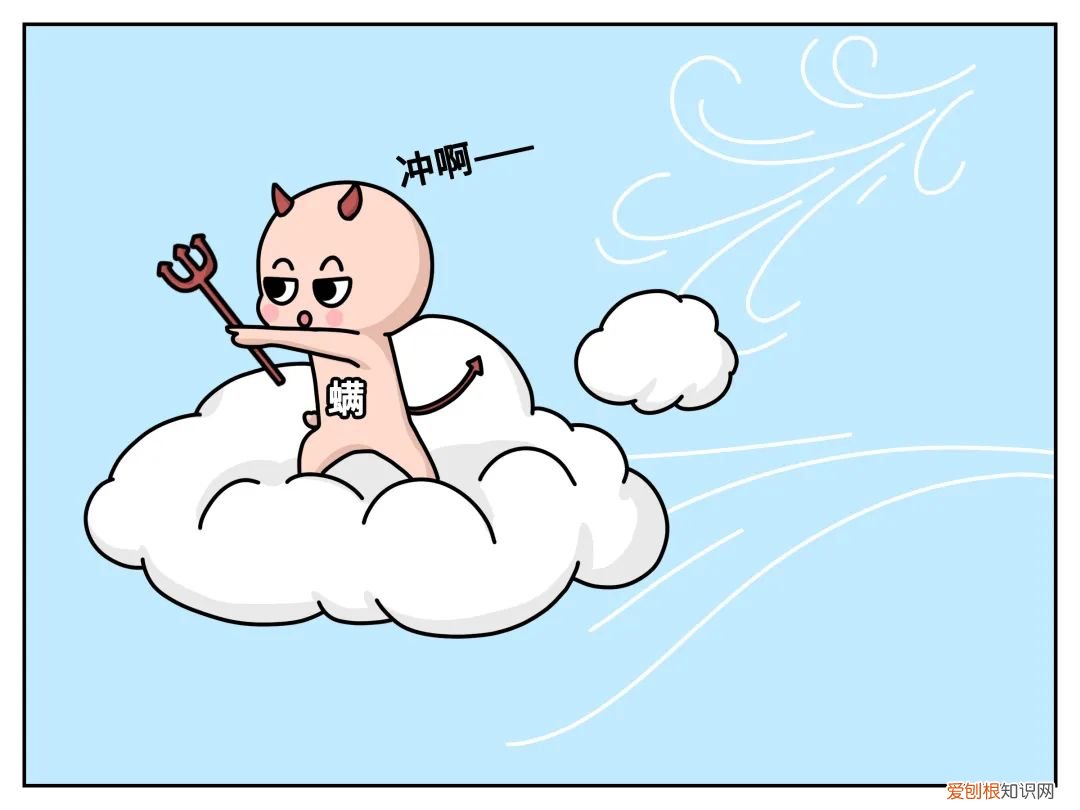 进来看!螨虫是怎么一步步爬到你床上的