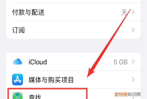 苹果手机的查找功能在哪里,苹果手机如何开启自带的搜索功能