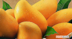 芒果熟过头了可以吃，芒果蒸熟了吃还会过敏吗