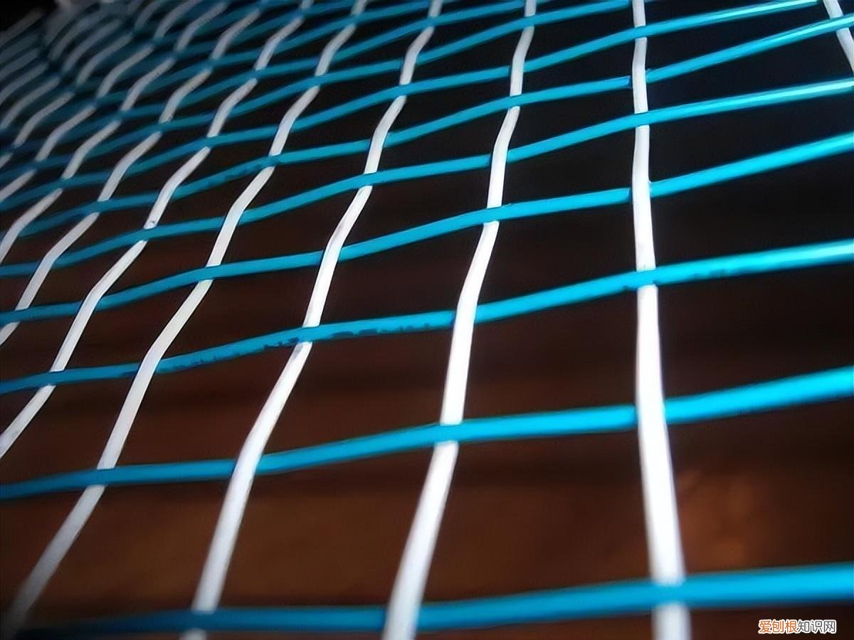 子母线什么意思？