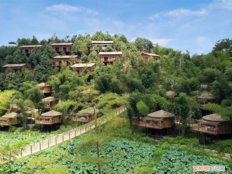 悠季瑜伽和梵音瑜伽哪个好